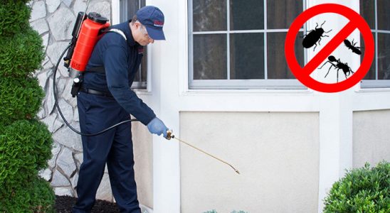 Kale Hamam Böceği İlaçlama böcek ilaçlama ve haşere kontrolü — ilaclama-tr.com